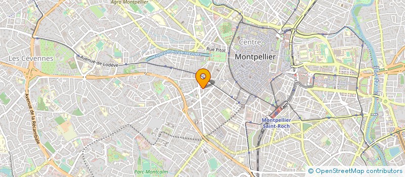 localisation de l'entreprise MONSIEUR LEO ATTALI à MONTPELLIER