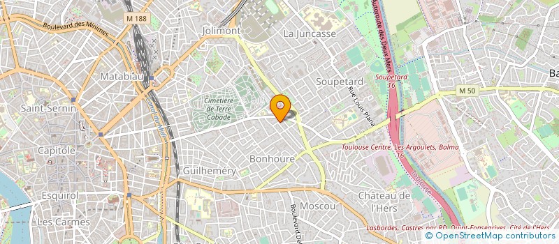 localisation de l'entreprise MONSIEUR LEO BALDUCCHI à TOULOUSE