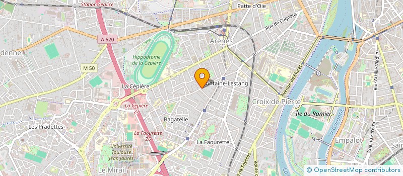 localisation de l'entreprise MONSIEUR LEO BESSON  TOULOUSE