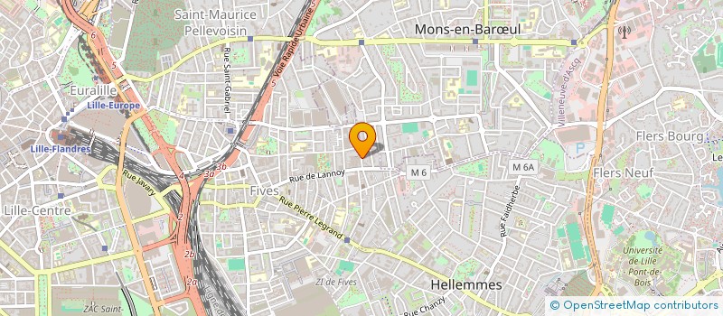 localisation de l'entreprise MONSIEUR LEO BOURRE  LILLE