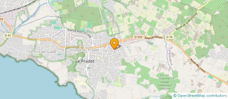 localisation de l'entreprise MONSIEUR LEO BRAHIC  LE PRADET