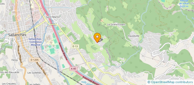 localisation de l'entreprise MONSIEUR LEO BRECHIGNAC  SALLANCHES