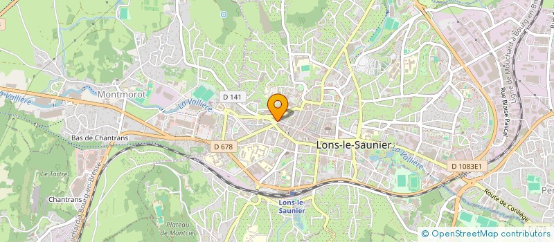 localisation de l'entreprise MONSIEUR LEO CHAILLOT à LONS-LE-SAUNIER