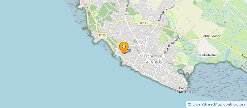 localisation de l'entreprise MONSIEUR LEO CHAPPET  MESCHERS-SUR-GIRONDE