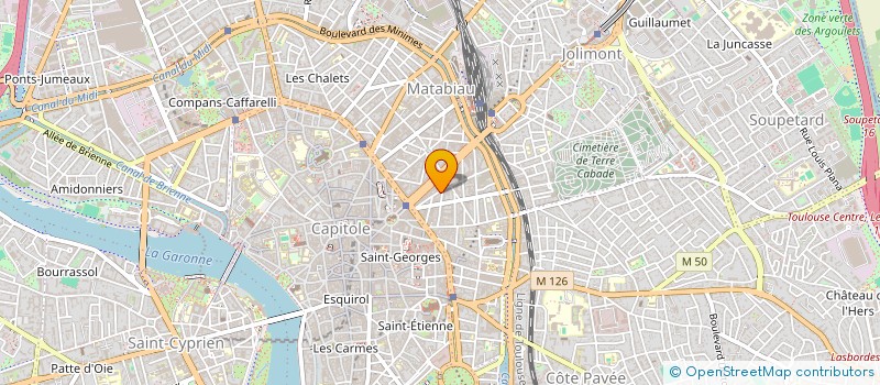 localisation de l'entreprise MONSIEUR LEO CHARTIER  TOULOUSE