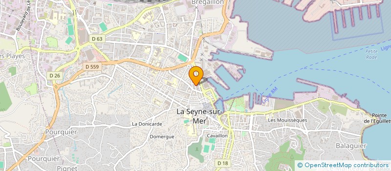 localisation de l'entreprise MONSIEUR LEO COCHEZ à LA SEYNE-SUR-MER