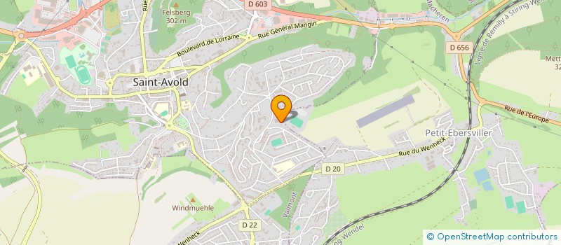 localisation de l'entreprise MONSIEUR LEO DIDIER  SAINT-AVOLD