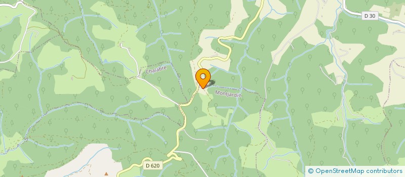 localisation de l'entreprise MONSIEUR LEO DIRR  MONTJARDIN