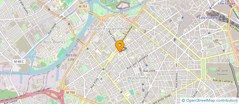 localisation de l'entreprise MONSIEUR LEO DUBOIS à LILLE