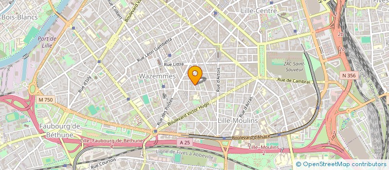 localisation de l'entreprise MONSIEUR LEO DUGUE à LILLE
