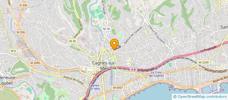 localisation de l'entreprise MONSIEUR LEO FAVEAU à CAGNES-SUR-MER
