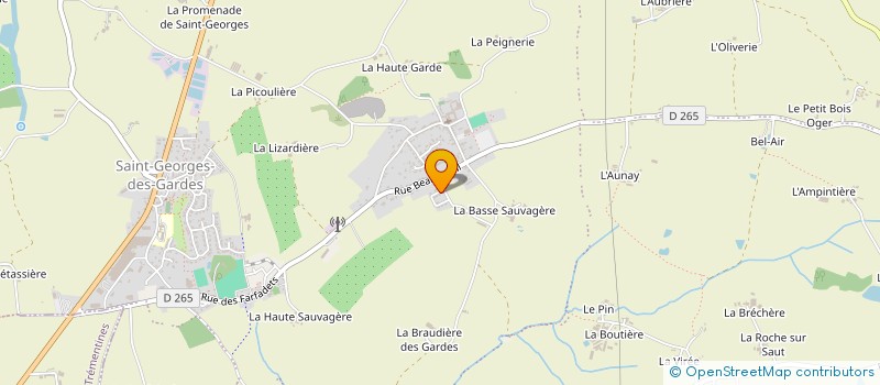 localisation de l'entreprise MONSIEUR LEO FILMON  CHEMILLE-EN-ANJOU