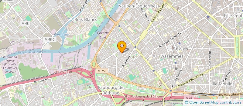 localisation de l'entreprise MONSIEUR LEO GALAMEZ à LILLE