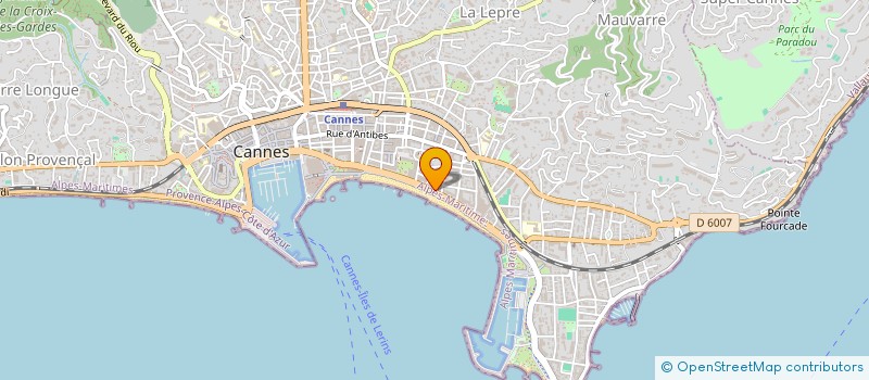 localisation de l'entreprise MONSIEUR LEO GEERAERT à CANNES