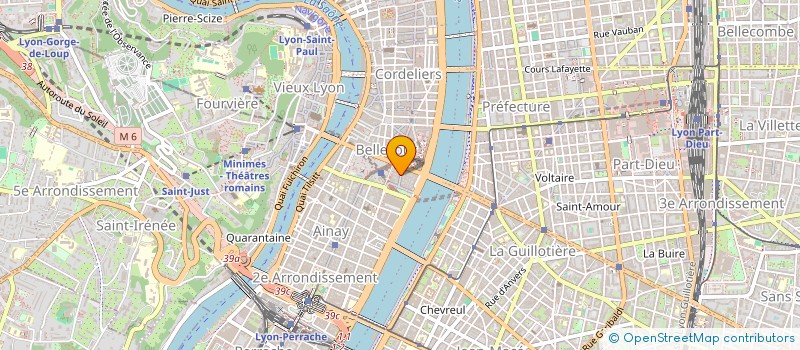 localisation de l'entreprise MONSIEUR LEO GOUHIER  LYON