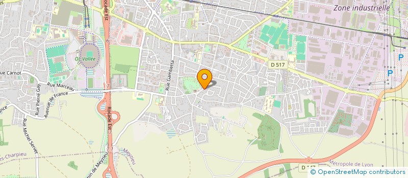 localisation de l'entreprise MONSIEUR LEO GRANGE  MEYZIEU