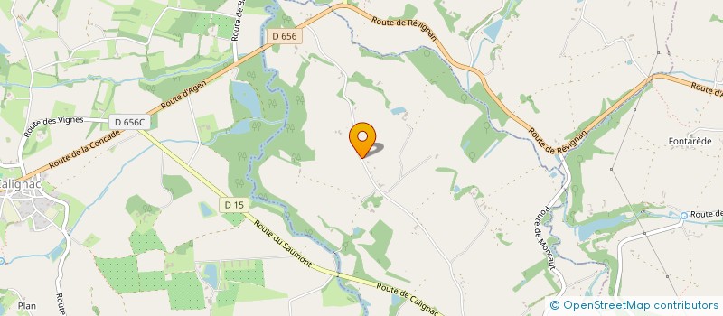 localisation de l'entreprise MONSIEUR LEO GRISO  SAUMONT