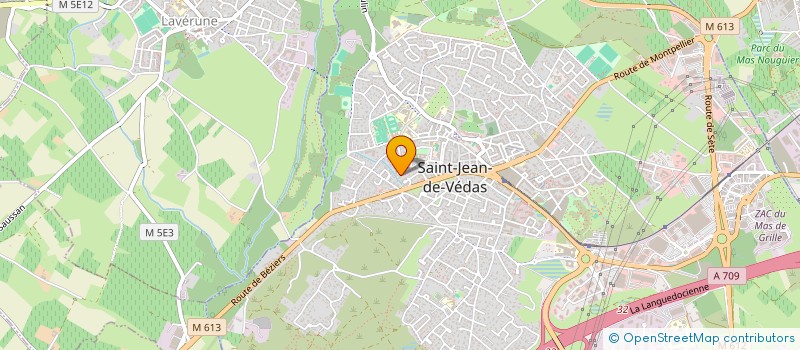 localisation de l'entreprise MONSIEUR LEO GUYARD  SAINT-JEAN-DE-VEDAS