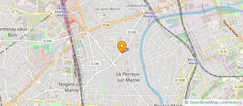 localisation de l'entreprise MONSIEUR LEO JOANNON  LE PERREUX-SUR-MARNE