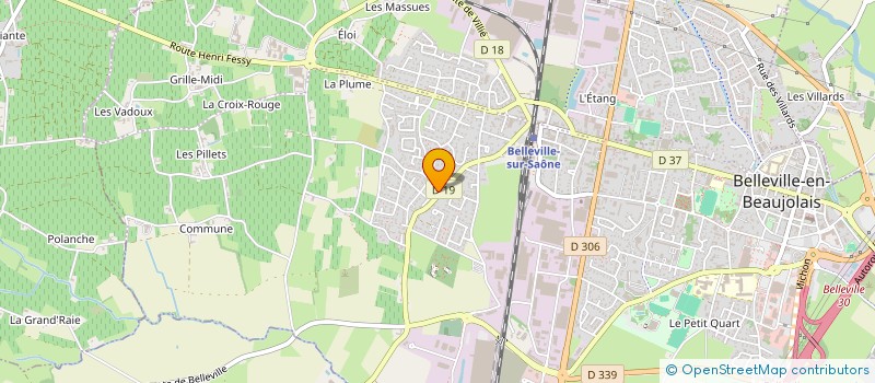localisation de l'entreprise MONSIEUR LEO LADEVIE  BELLEVILLE-EN-BEAUJOLAIS