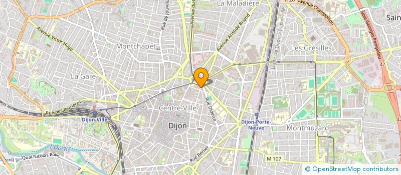 localisation de l'entreprise MONSIEUR LEO LAPANDRY  DIJON