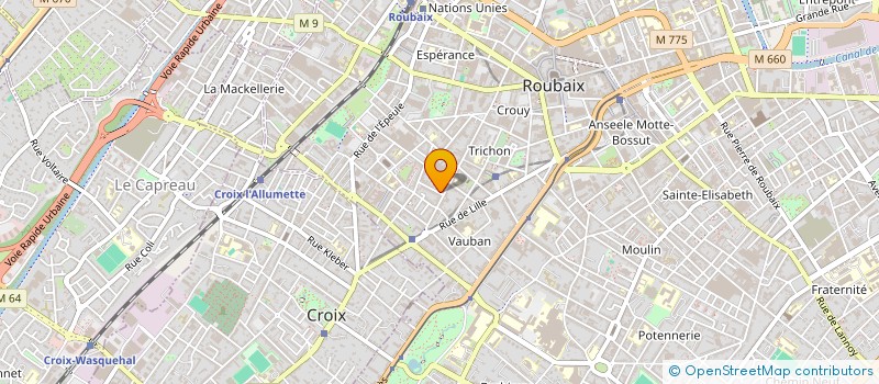 localisation de l'entreprise MONSIEUR LEO LEMAIRE à ROUBAIX