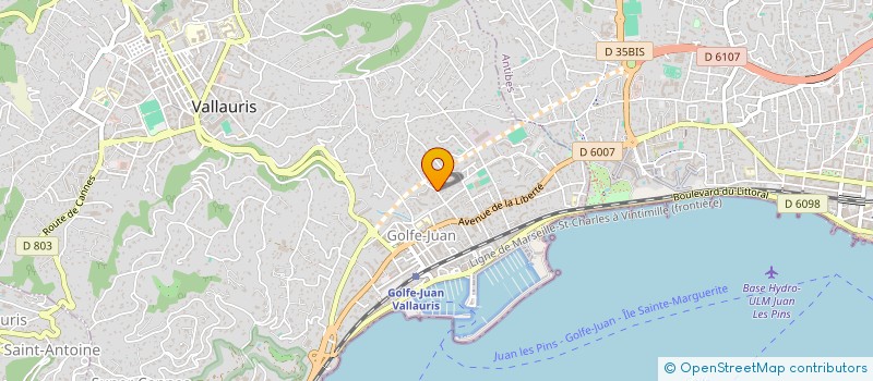 localisation de l'entreprise MONSIEUR LEO LERDA  VALLAURIS