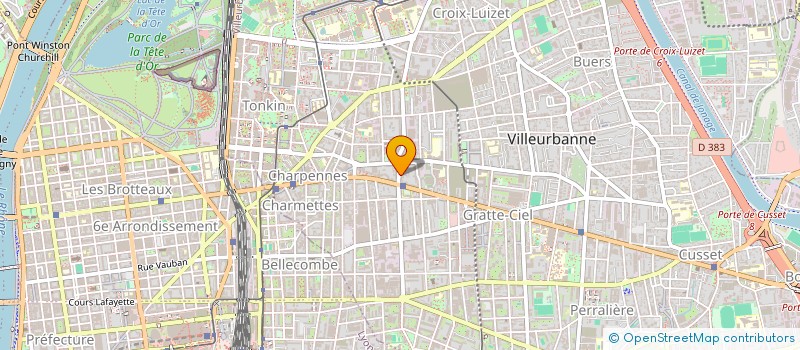 localisation de l'entreprise MONSIEUR LEO MAGNET à VILLEURBANNE