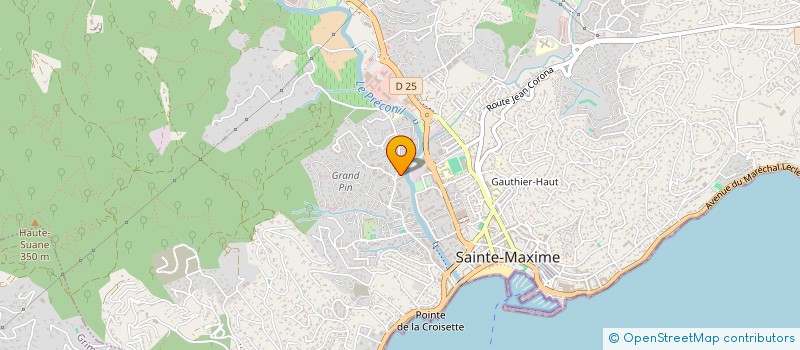 localisation de l'entreprise MONSIEUR LEO MALIGORNE à SAINTE-MAXIME