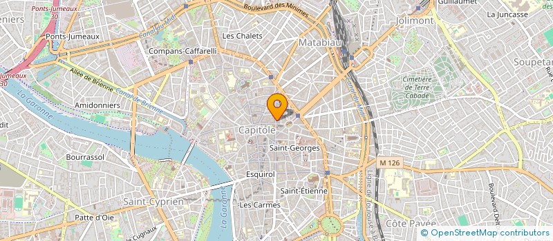 localisation de l'entreprise MONSIEUR LEO MECCA  TOULOUSE