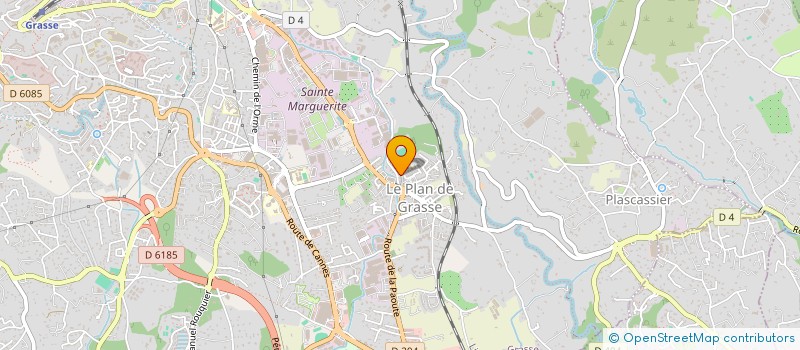 localisation de l'entreprise MONSIEUR LEO MENDES TAVARES à GRASSE