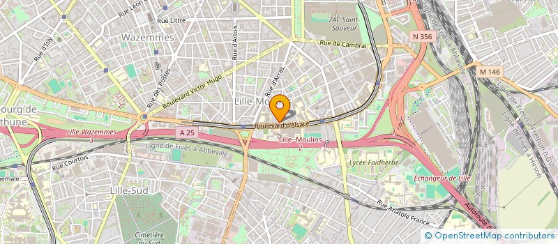 localisation de l'entreprise MONSIEUR LEO MIZZI à LILLE