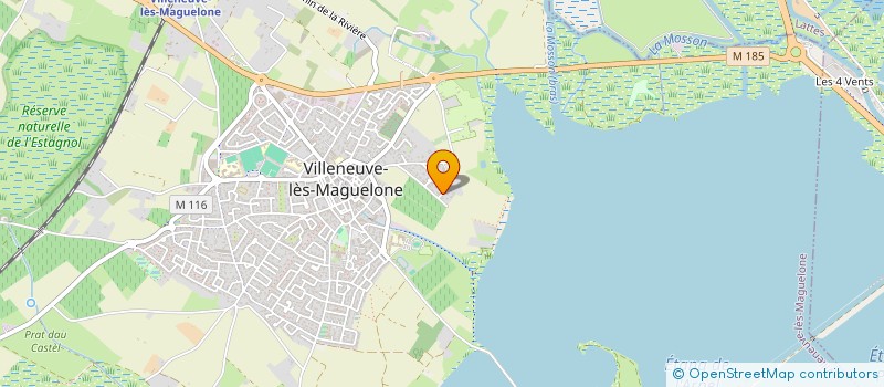 localisation de l'entreprise MONSIEUR LEO MOLINS  VILLENEUVE-LES-MAGUELONE