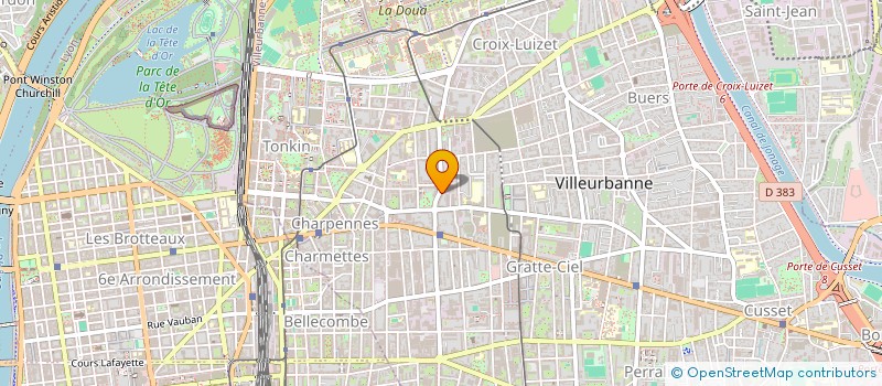localisation de l'entreprise MONSIEUR LEO MOUSSON--CARRAS  VILLEURBANNE