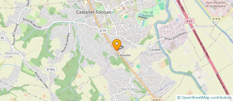 localisation de l'entreprise MONSIEUR LEO NICOLAS à CASTANET-TOLOSAN