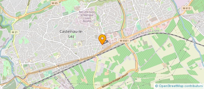localisation de l'entreprise MONSIEUR LEO NORMANI à CASTELNAU-LE-LEZ