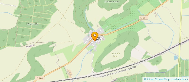 localisation de l'entreprise MONSIEUR LEO PAUL LIENARD à VIGNEULLES-LES-HATTONCHATEL