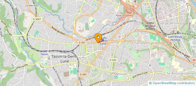 localisation de l'entreprise MONSIEUR LEO PETAVY  TASSIN-LA-DEMI-LUNE