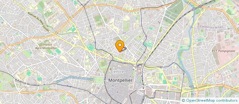 localisation de l'entreprise MONSIEUR LEO PETERELLE  MONTPELLIER