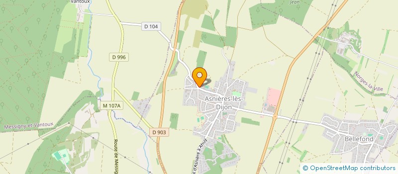 localisation de l'entreprise MONSIEUR LEO PETIT-JEAN  ASNIERES-LES-DIJON