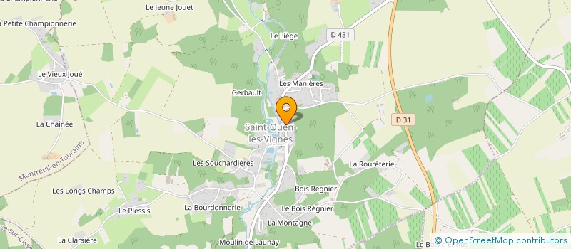 localisation de l'entreprise MONSIEUR LEO PUYRAUD  SAINT-OUEN-LES-VIGNES