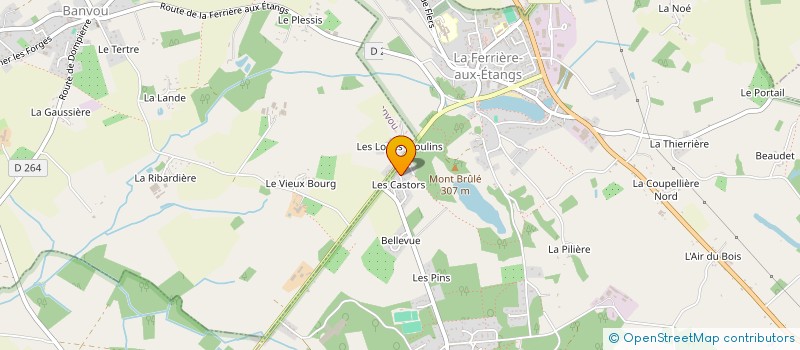 localisation de l'entreprise MONSIEUR LEO ROBINE à LA FERRIERE AUX ETANGS