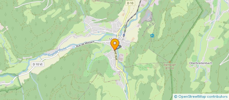 localisation de l'entreprise MONSIEUR LEO SCHWINDENHAMMER à BREITENBACH-HAUT-RHIN