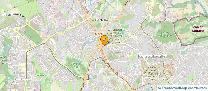 localisation de l'entreprise MONSIEUR LEO SERRETTE  MONTPELLIER