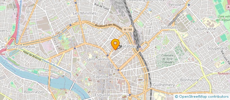 localisation de l'entreprise MONSIEUR LEO VERNISSE à TOULOUSE