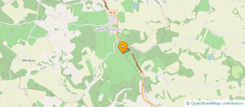 localisation de l'entreprise MONSIEUR LEO VERSANNE  SAINT-PERDOUX