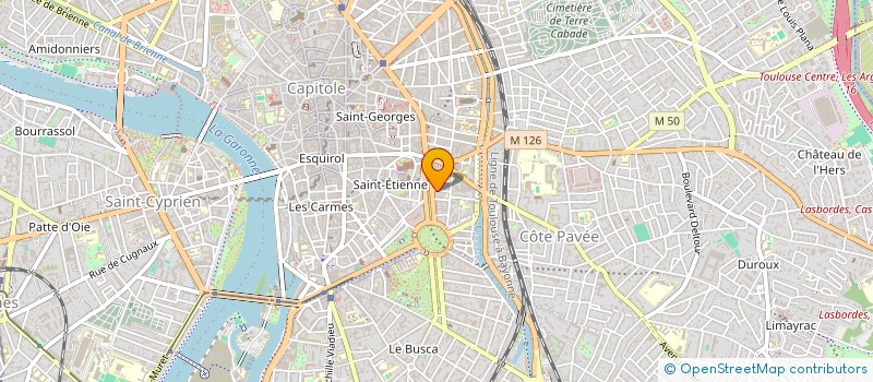 localisation de l'entreprise MONSIEUR LEO VIERGE ROHI à TOULOUSE
