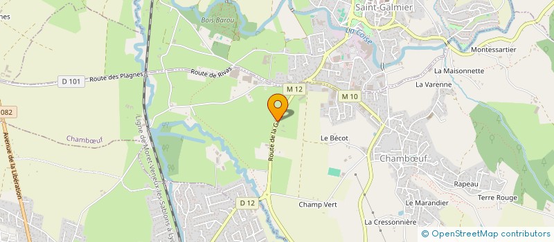 localisation de l'entreprise MONSIEUR LEON BERNE  SAINT-MEDARD-EN-FOREZ