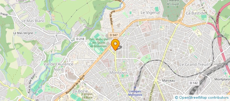 localisation de l'entreprise MONSIEUR LEON DAURIAT à LIMOGES