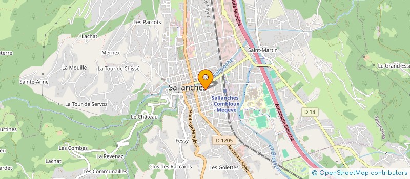 localisation de l'entreprise MONSIEUR LEON FRANCIOLI à SALLANCHES